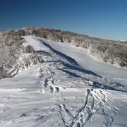 Slovakia - Bukovske vrchy 89
