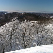 Slovakia - Bukovske vrchy 92