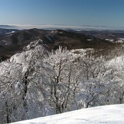 Slovakia - Bukovske vrchy 92