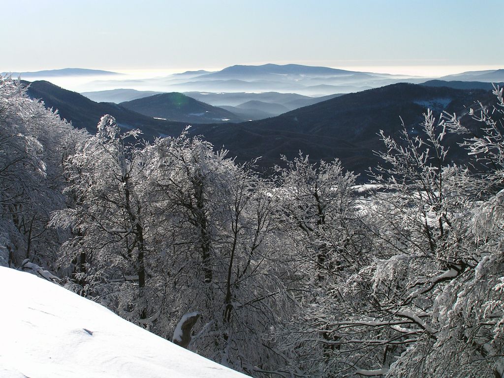 Slovakia - Bukovske vrchy 93