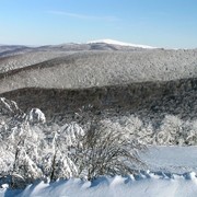 Slovakia - Bukovske vrchy 94