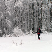 Slovakia - Bukovske vrchy 59