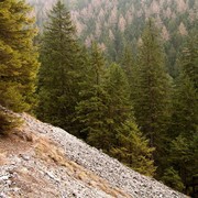 Slovakia - climbing in Machnate 05