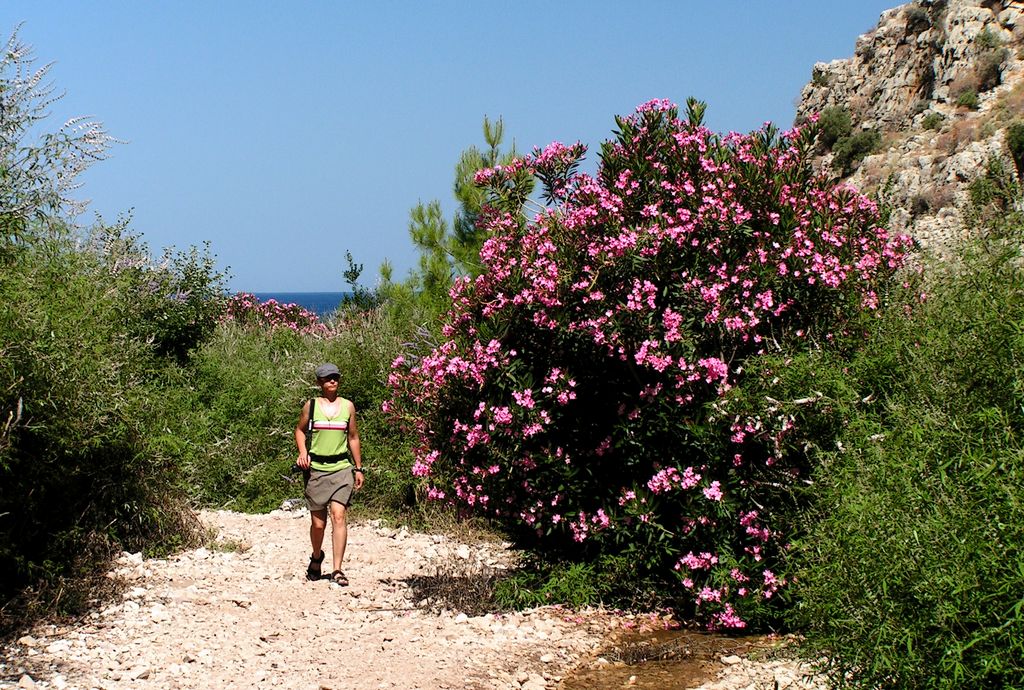 Turkey - Butterfly valley 18