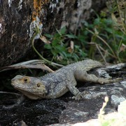 Turkey - Hierapolis 13