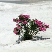 Turkey - Pamukkale 02