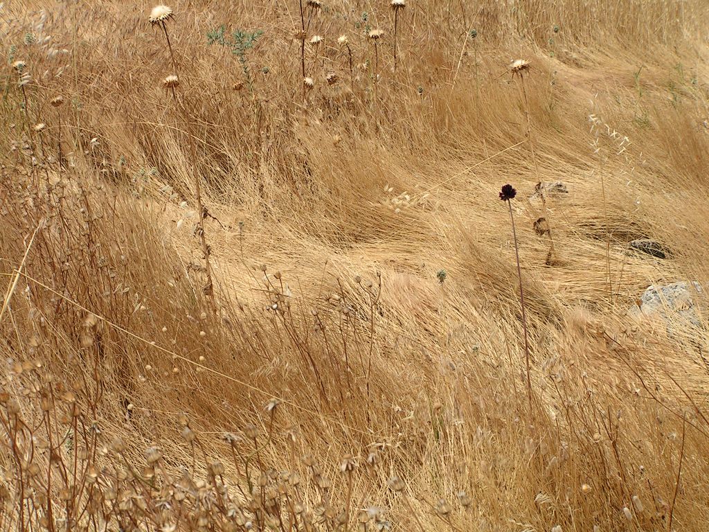 Turkey - Hierapolis 32