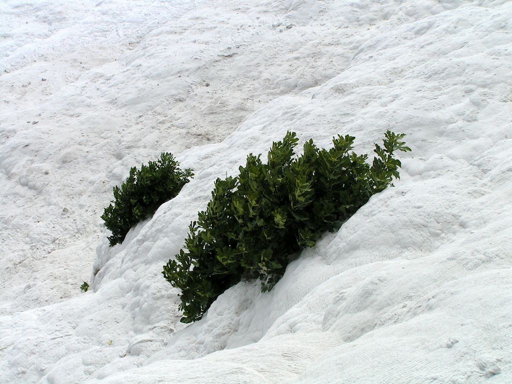 Turkey - Pamukkale 10