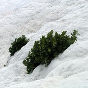 Turkey - Pamukkale 10