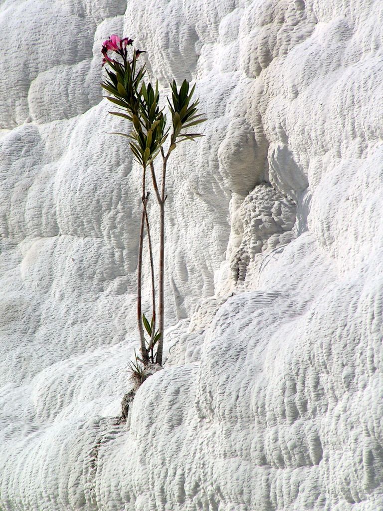 Turkey - Pamukkale 13