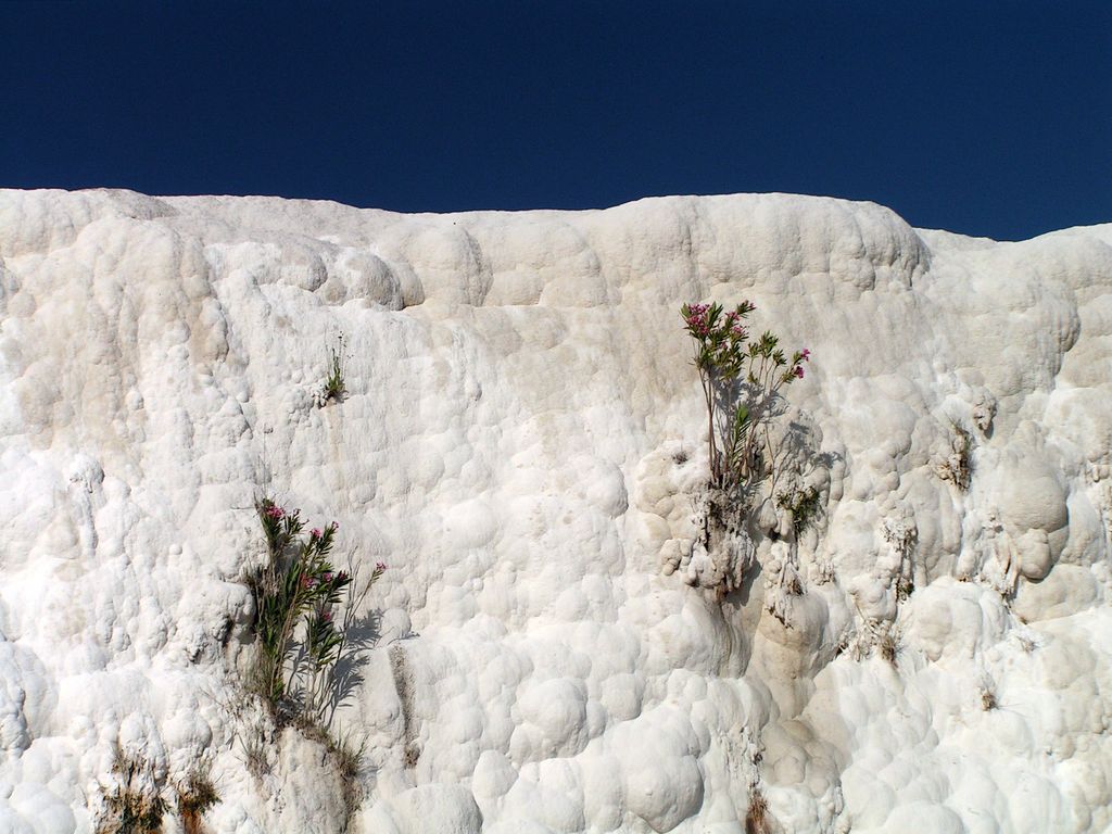 Turkey - Pamukkale 14