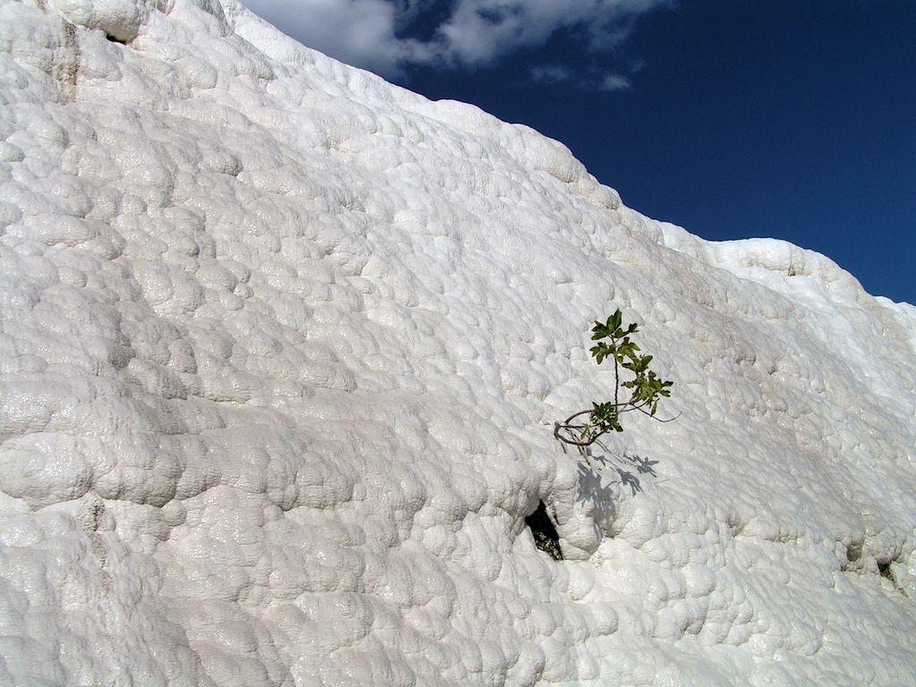 Turkey - Pamukkale 24