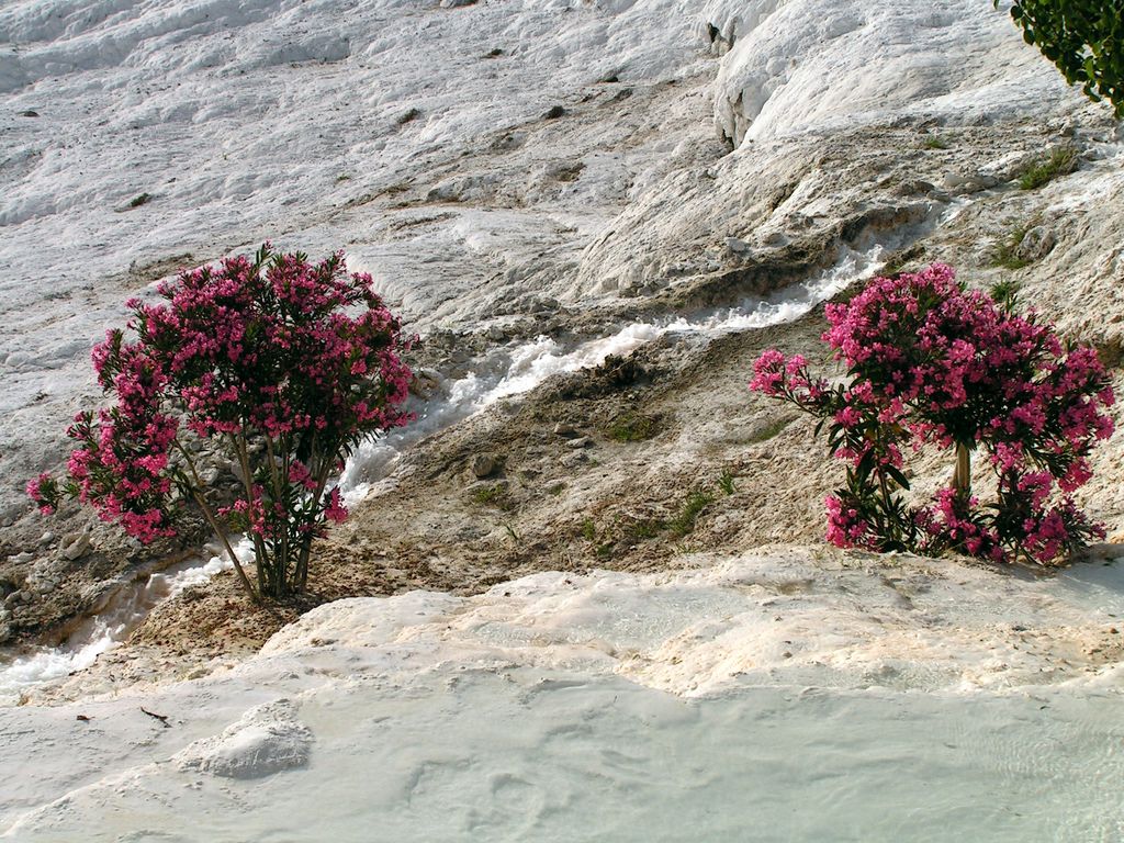 Turkey - Pamukkale 32