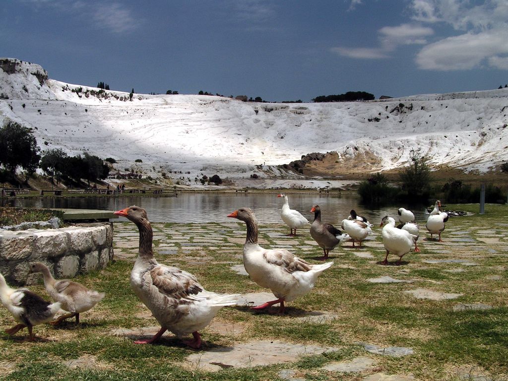 Turkey - Pamukkale 36