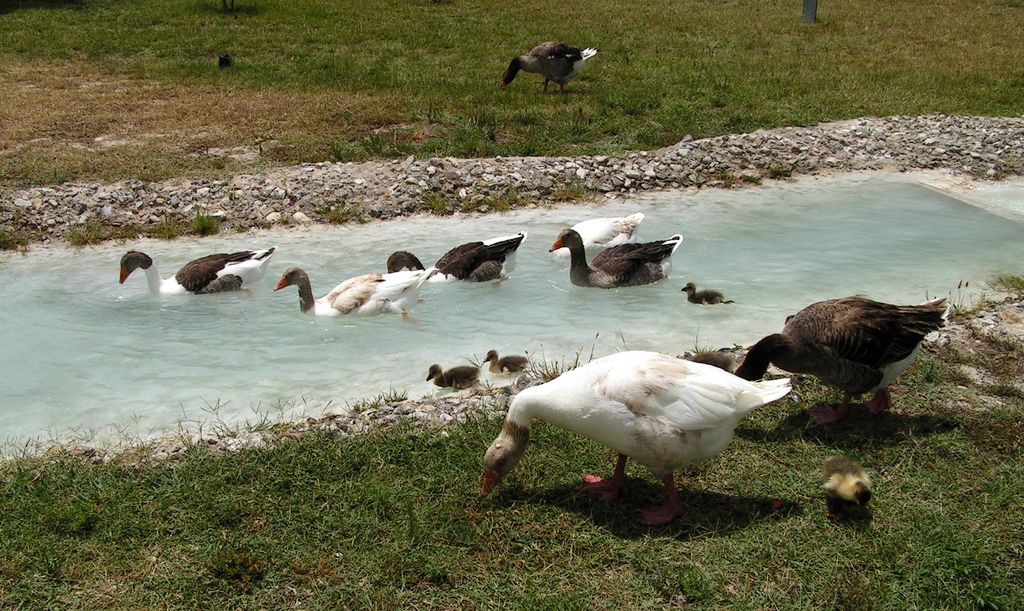 Turkey - Pamukkale 38