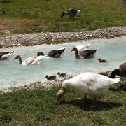 Turkey - Pamukkale 38