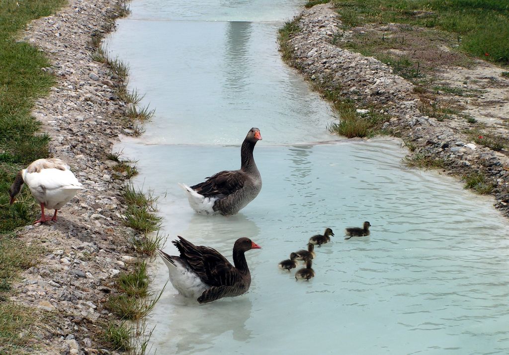 Turkey - Pamukkale 40