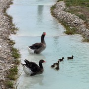 Turkey - Pamukkale 40