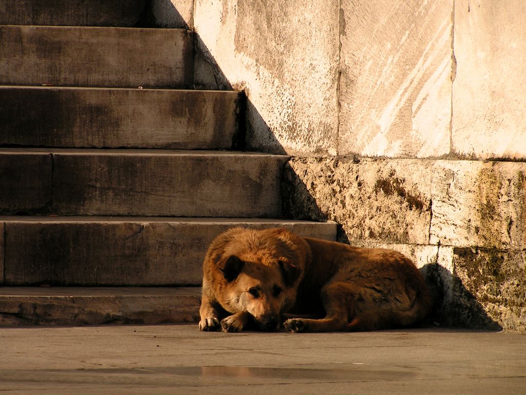 Turkey - Istanbul 17