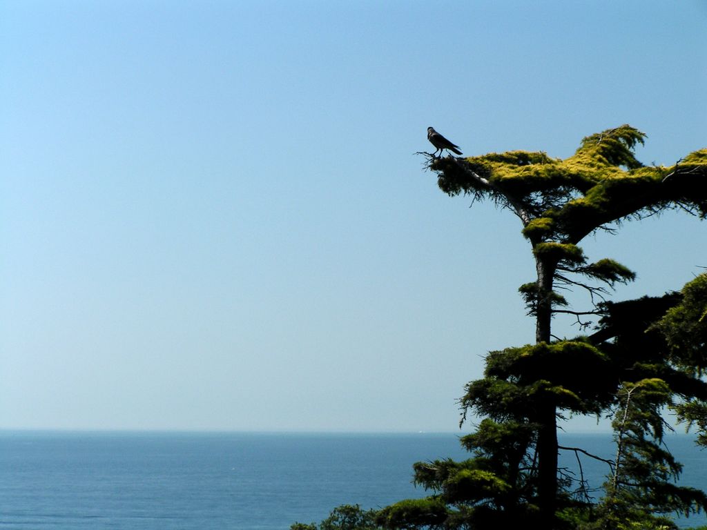 Turkey - views of Istanbul from Topkapi Palace 04