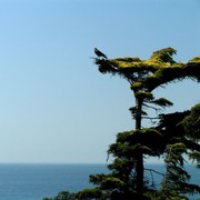 Turkey - views of Istanbul from Topkapi Palace 04