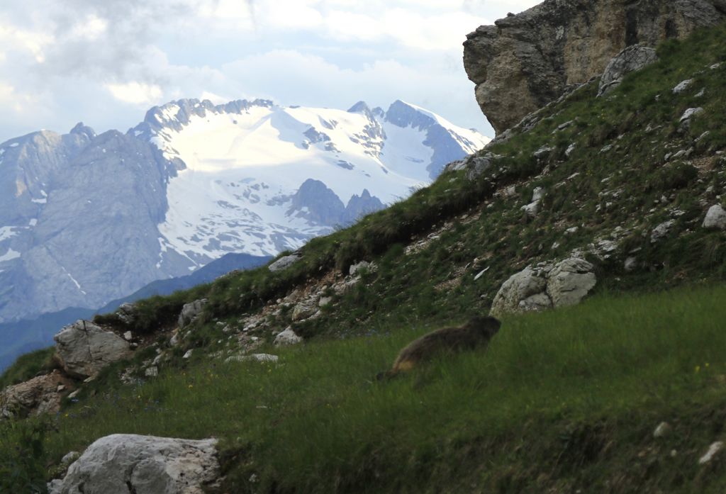 The Italian Dolomites - Via ferrata Tomaselli 108