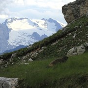 The Italian Dolomites - Via ferrata Tomaselli 108