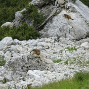 The Italian Dolomites - Via ferrata Tomaselli 109