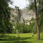 The Italian Dolomites - around Passo Tre Croci 07