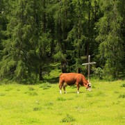 The Italian Dolomites - around Passo Tre Croci 08