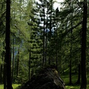 The Italian Dolomites - around Passo Tre Croci 24