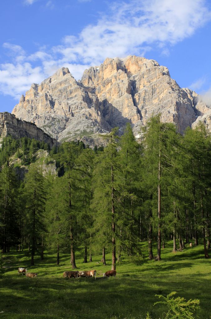 The Italian Dolomites - around Passo Tre Croci 25