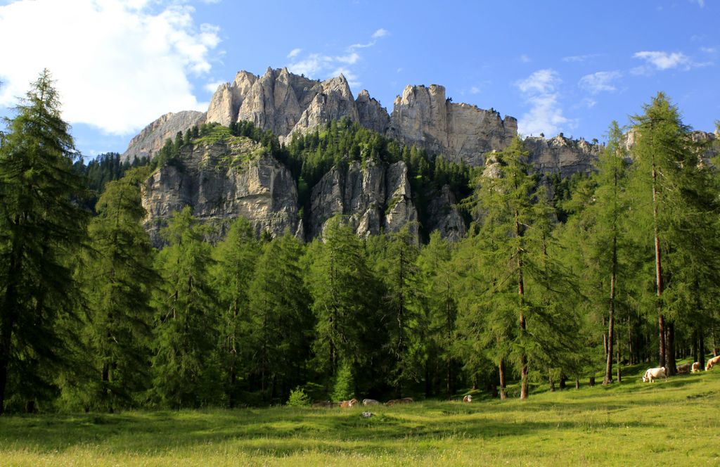 The Italian Dolomites - around Passo Tre Croci 26