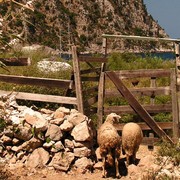 Turkey - Butterfly valley 34