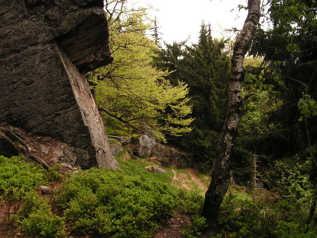 Kaitersberg rock climbing (2009) 081