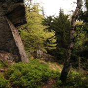 Kaitersberg rock climbing (2009) 081