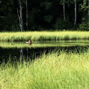 Czechia - Slackline festival - a pond near Bischofstein