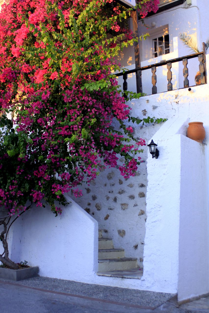 Greece - Kalymnos - in the streets of Masouri