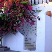 Greece - Kalymnos - in the streets of Masouri