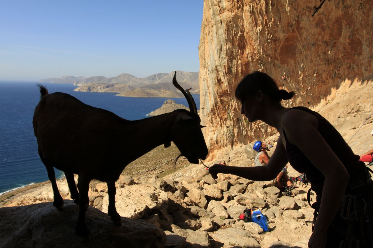 Greece - Kalymnos - Paula feeding a goat 01