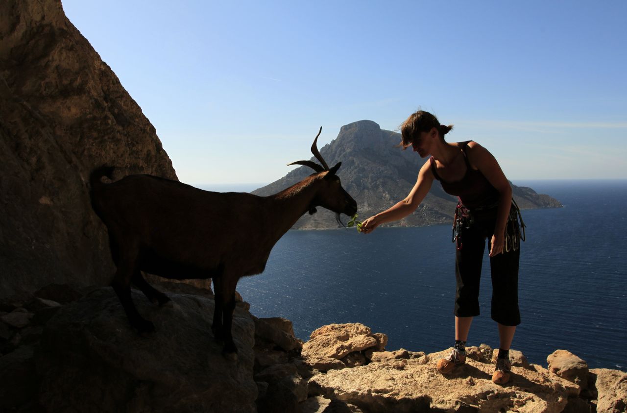 Greece - Kalymnos - Paula feeding a goat 03