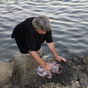 Greece - preparing an octopus in Rhodes 02