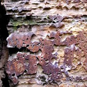 Czechia - climbing in the Elbe Sandstone 07