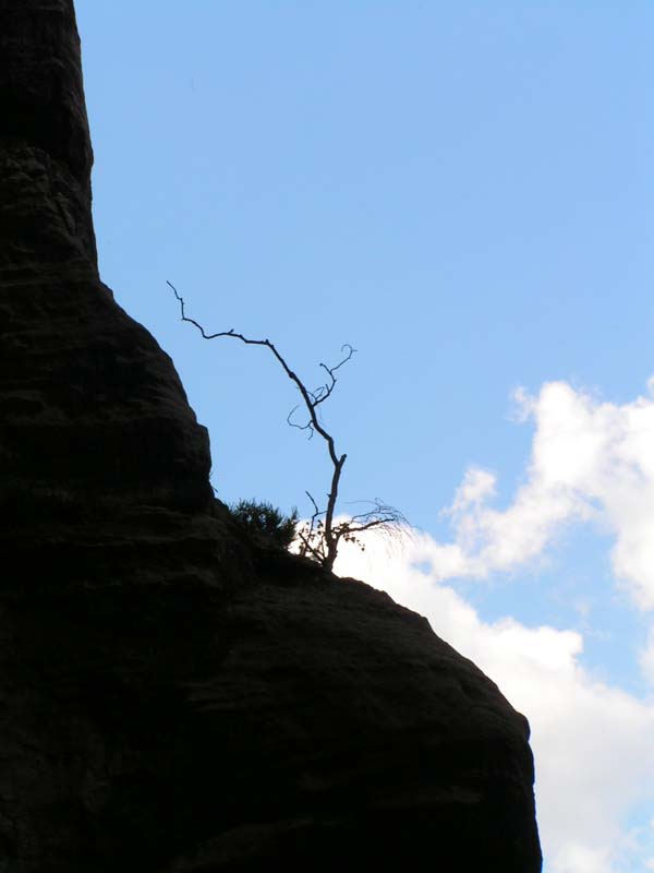 Czechia - climbing in the Elbe Sandstone 43