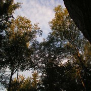 Czechia - climbing in the Elbe Sandstone 61