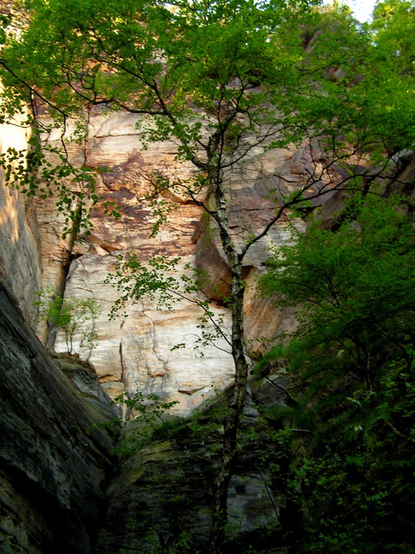 Czechia - climbing in the Elbe Sandstone 94