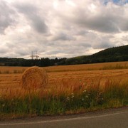 Czechia - Hřiměždice 08