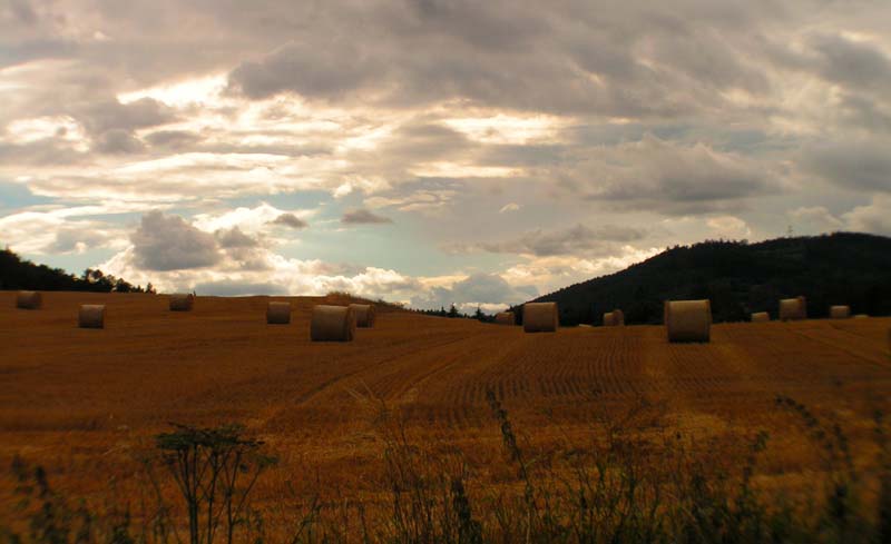 Czechia - Hřiměždice 09