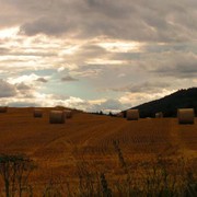 Czechia - Hřiměždice 09