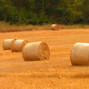 Czechia - Hřiměždice 10